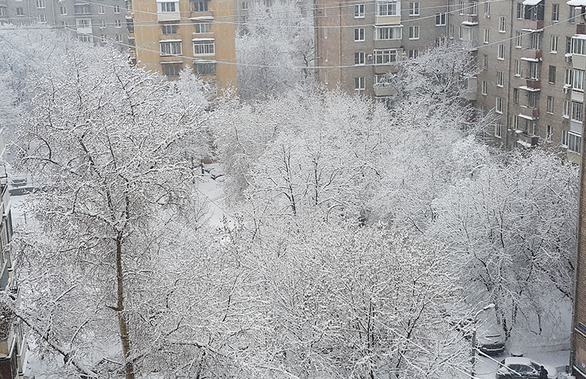 Подвожу итоги января